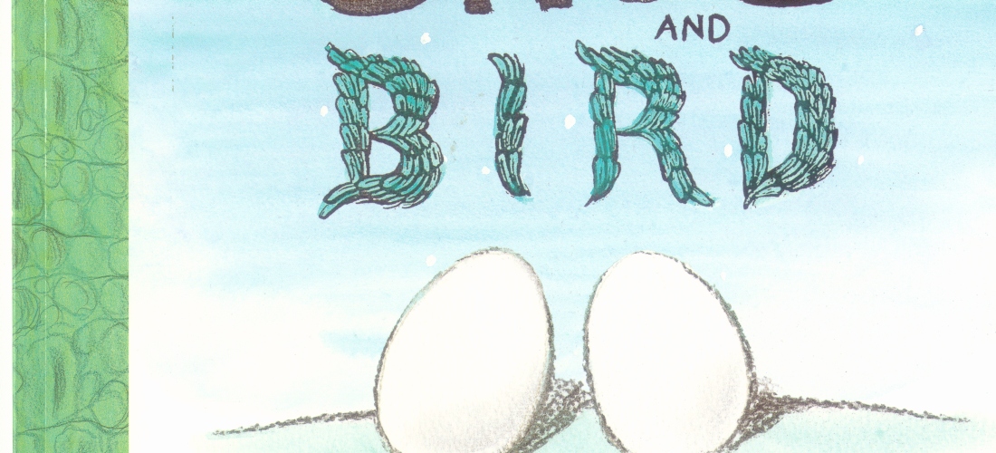 A Picture of the front cover of the book Croc and Bird written and illustrated by Alexis Deacon